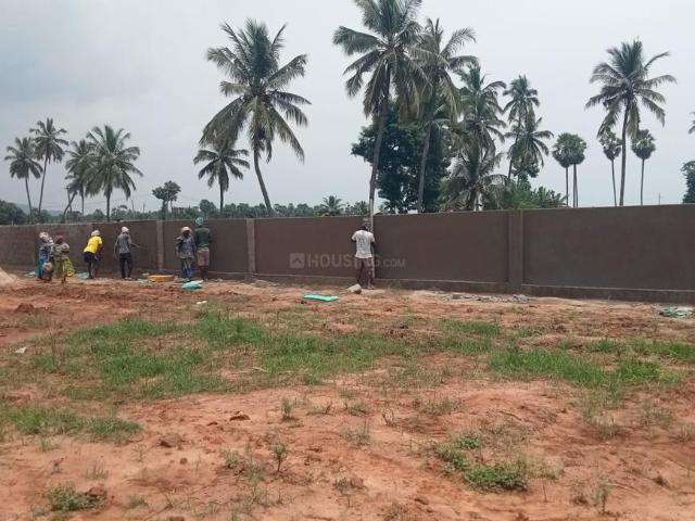 Residential Plot in Pusapatirega for resale Vizianagaram. The reference number is 18348562