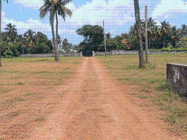 Residential Plot in Puranattukara for resale Thrissur. The reference number is 21162636