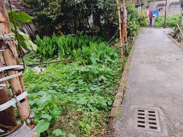Residential Plot in Purba Barisha for resale Kolkata. The reference number is 17973838