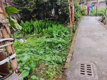 Residential Plot in Purba Barisha for resale Kolkata. The reference number is 17973838