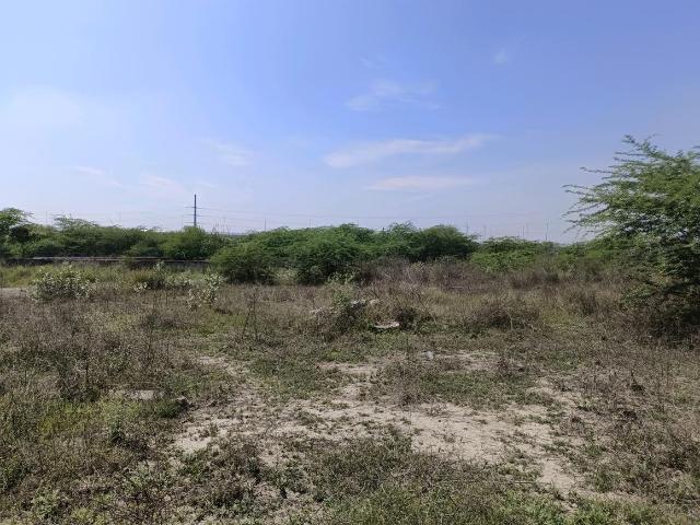 Residential Plot in Puth Khurd for resale New Delhi. The reference number is 19418928