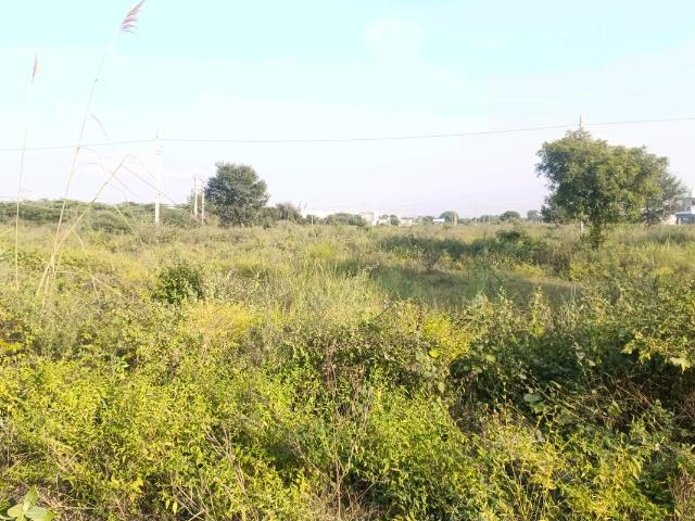 Residential Plot in Puth Khurd for resale New Delhi. The reference number is 19662045