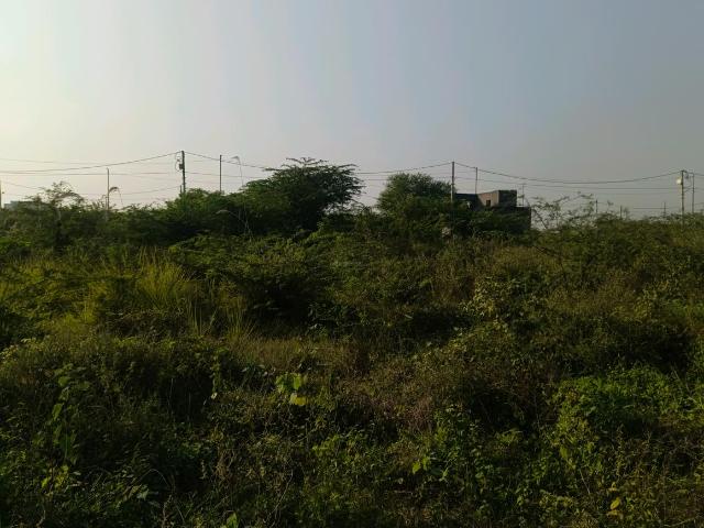 Residential Plot in Puth Khurd for resale New Delhi. The reference number is 20803613