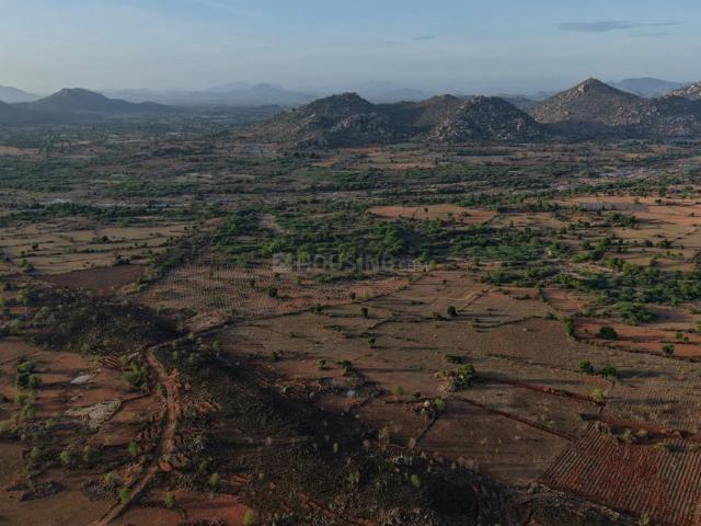 Residential Plot in Puttagurla Palli for resale Sri Sathya Sai. The reference number is 20723722