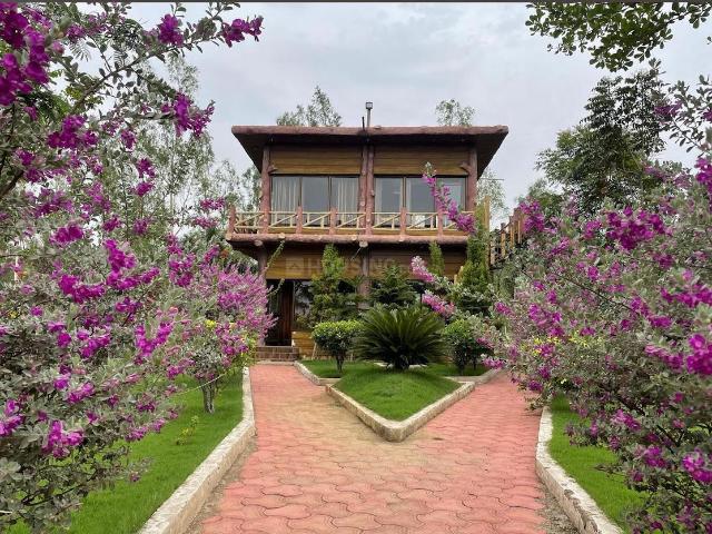 Residential Plot in Pacheda 1 for resale Raipur. The reference number is 16189275