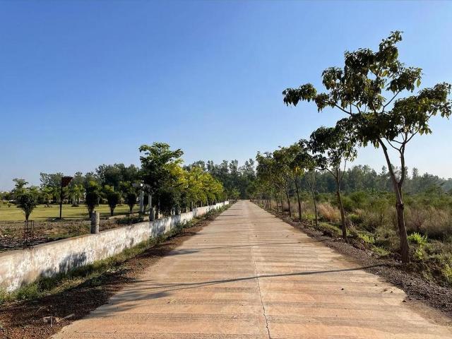 Residential Plot in Pacheda 1 for resale Raipur. The reference number is 16490673
