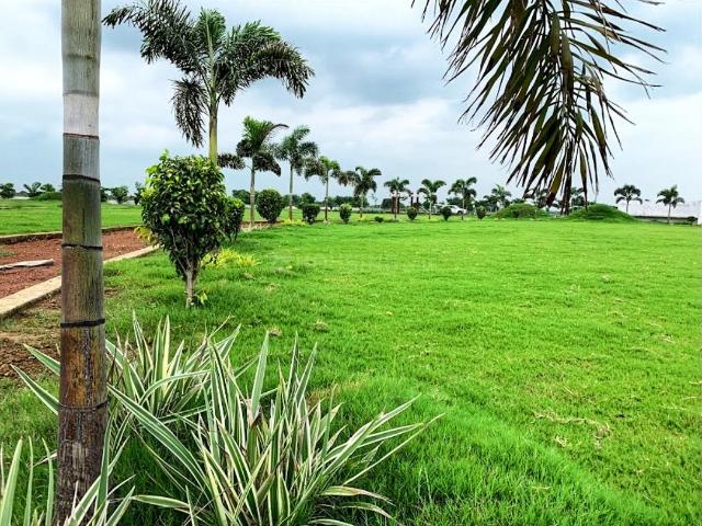 Residential Plot in Pacheda 1 for resale Raipur. The reference number is 19953526