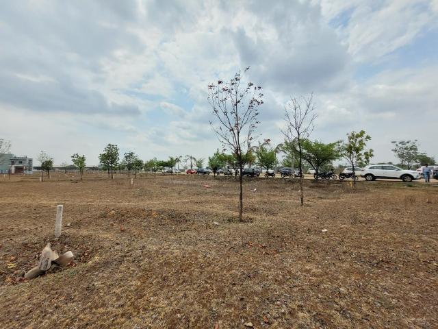 Residential Plot in Pacheda 1 for resale Raipur. The reference number is 20840574