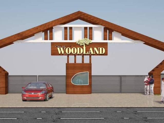 Residential Plot in Pacheda 1 for resale Raipur. The reference number is 20952410
