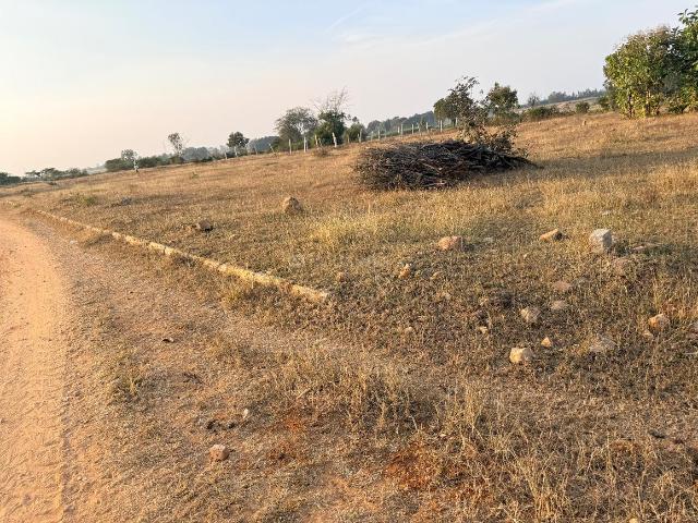 Residential Plot in Padakal for resale Ranga Reddy. The reference number is 19122042