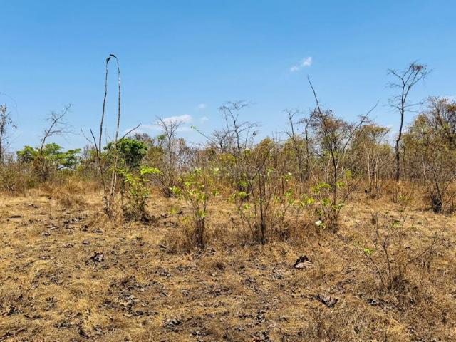 Residential Plot in Padghawali for resale Raigad. The reference number is 21129572