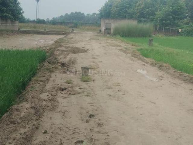 Residential Plot in Paijawa for resale Patna. The reference number is 20971613