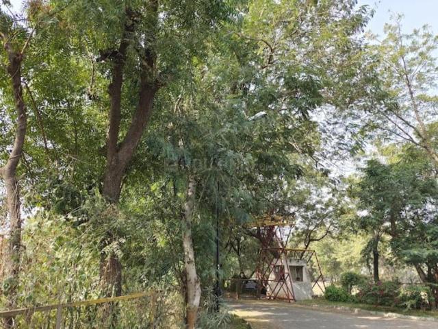 Residential Plot in Palodia for resale Gandhinagar. The reference number is 16622699