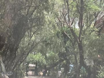 Residential Plot in Palam Vihar for resale Gurgaon. The reference number is 20418052