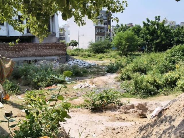 Residential Plot in Palam Vihar for resale Gurgaon. The reference number is 20803766