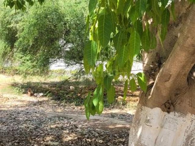 Residential Plot in Palam Vihar for resale Gurgaon. The reference number is 21223367