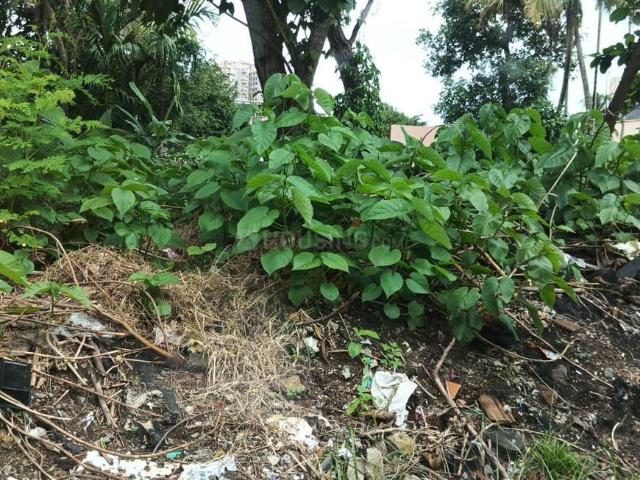 Residential Plot in Palarivattom for resale Kochi. The reference number is 20656299