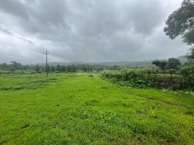 Residential Plot in Pali for resale Raigad. The reference number is 19834360