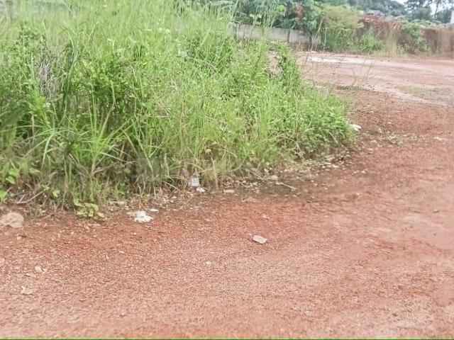 Residential Plot in Pallikkara for resale Kochi. The reference number is 16558806