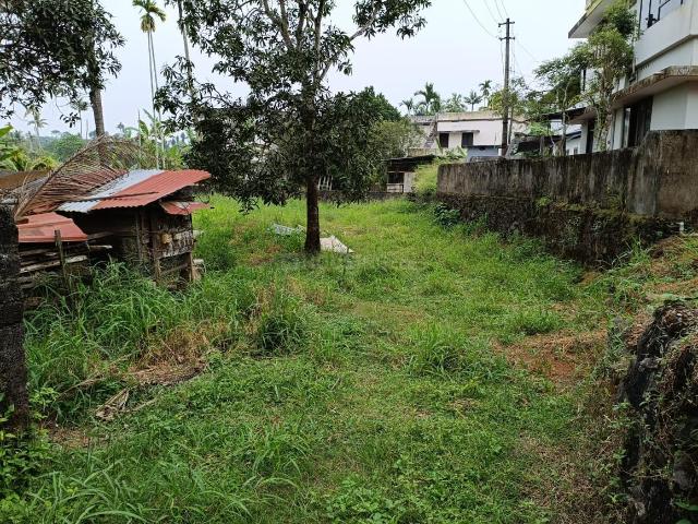 Residential Plot in Pallikkara for resale Kochi. The reference number is 18776775