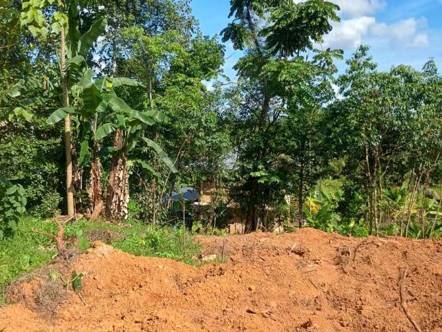 Residential Plot in Pallikkara for resale Kochi. The reference number is 20284531