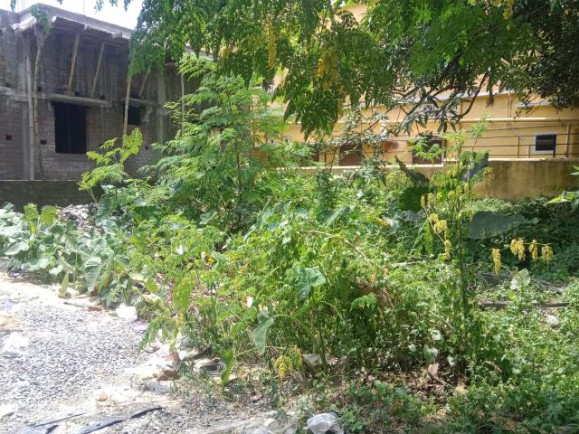 Residential Plot in Palta for resale Kolkata. The reference number is 17798165