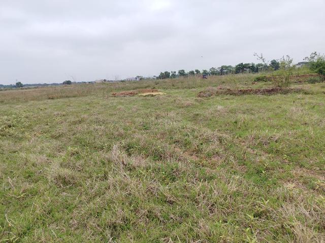 Residential Plot in Pamsara for resale Bhubaneswar. The reference number is 20040796