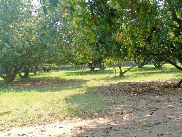 Residential Plot in Panaiyur, Sholinganallur for resale Chennai. The reference number is 14857042
