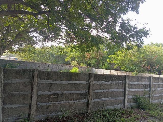Residential Plot in Panaiyur, Sholinganallur for resale Chennai. The reference number is 20754611