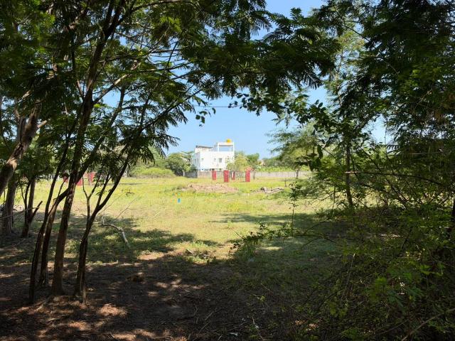 Residential Plot in Panaiyur, Sholinganallur for resale Chennai. The reference number is 21262181
