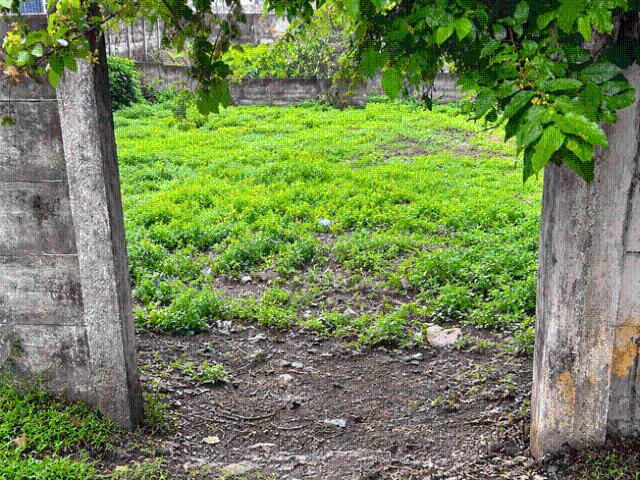 Residential Plot in Panaiyur, Sholinganallur for resale Chennai. The reference number is 21294554