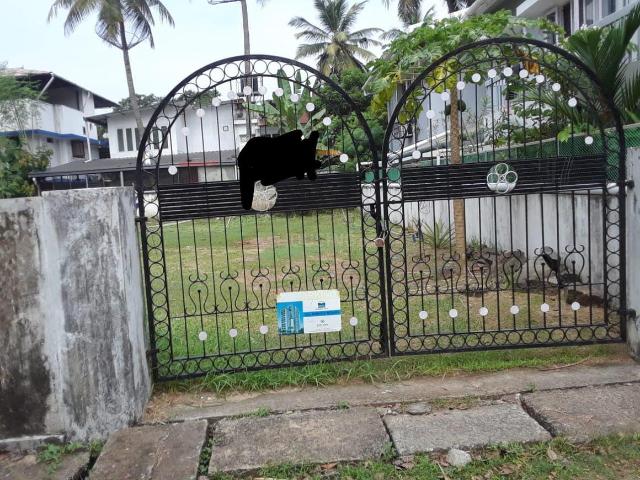 Residential Plot in Panampilly Nagar for resale Kochi. The reference number is 19868206