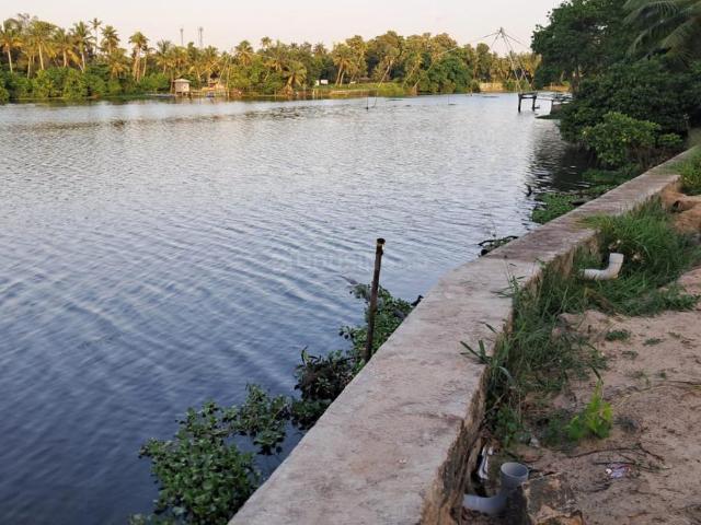 Residential Plot in Panangad for resale Kochi. The reference number is 20816058