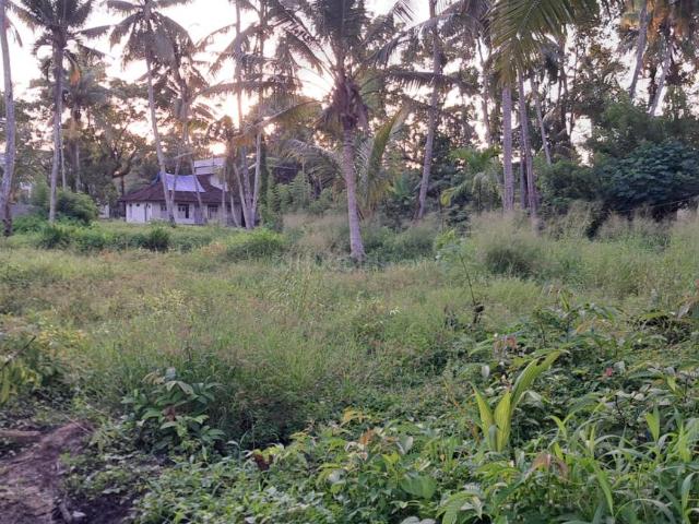 Residential Plot in Panangad for resale Kochi. The reference number is 20816199