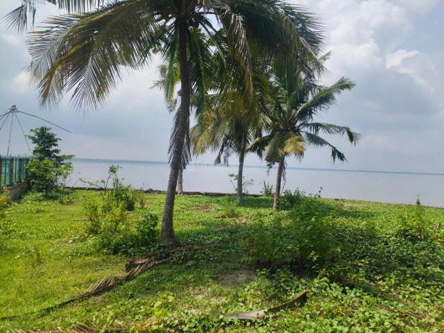 Residential Plot in Panangad for resale Kochi. The reference number is 21006419