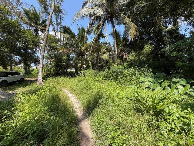 Residential Plot in Panangad for resale Kochi. The reference number is 21081562