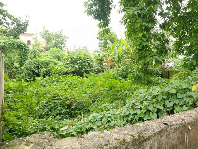 Residential Plot in Pancha Sayar for resale Kolkata. The reference number is 20736387