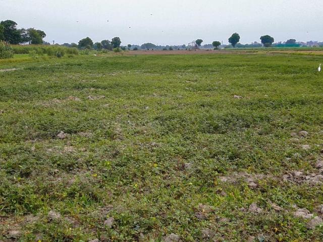 Residential Plot in Panchgaon for resale Gurgaon. The reference number is 6929350