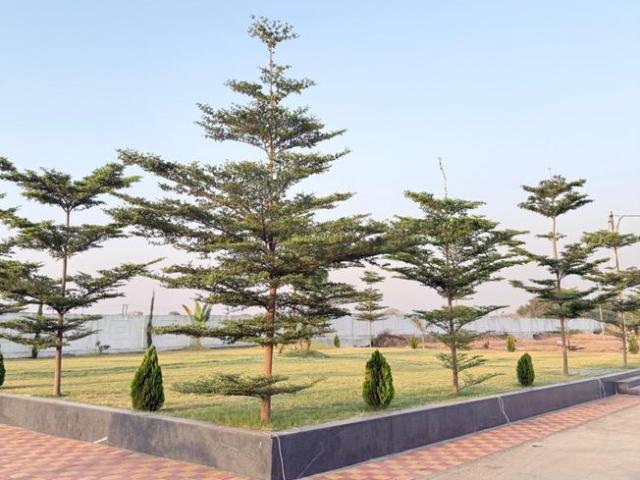 Residential Plot in Panda for resale Indore. The reference number is 19994072