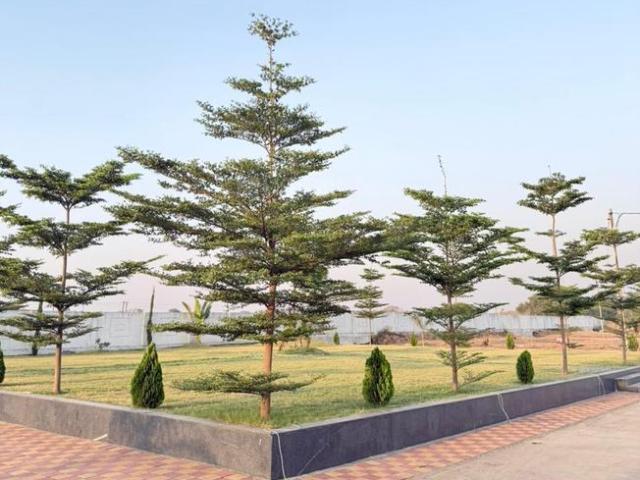 Residential Plot in Panda for resale Indore. The reference number is 19993848