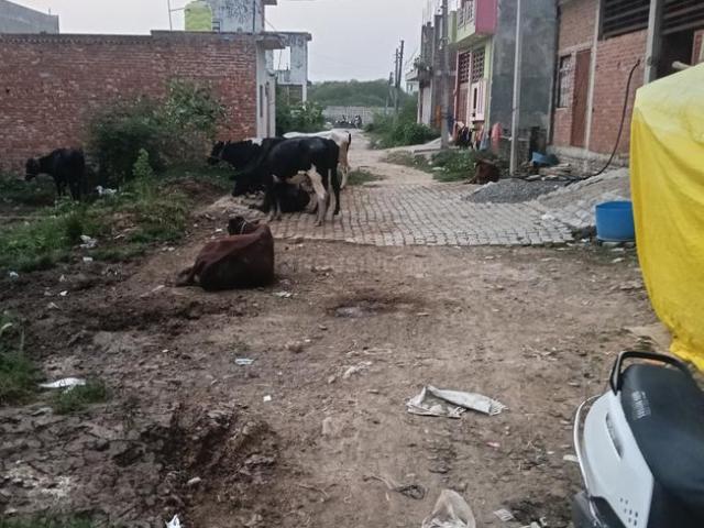 Residential Plot in Pandit Khera for resale Lucknow. The reference number is 21274661
