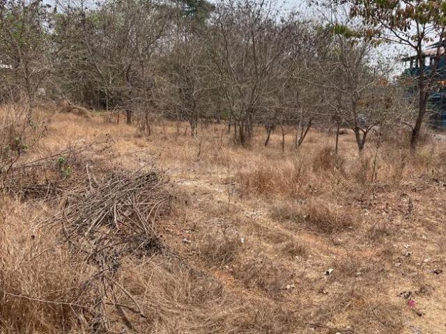 Residential Plot in Panjim for resale Goa. The reference number is 21163489