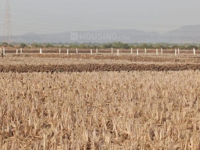 Residential Plot in Panvel for resale Navi Mumbai. The reference number is 16896273