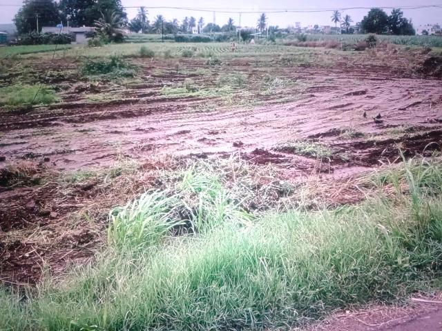 Residential Plot in Panvel for resale Navi Mumbai. The reference number is 17697947