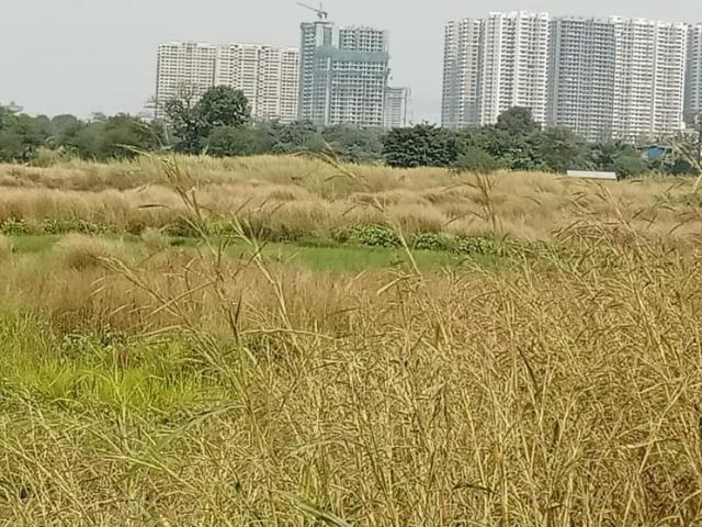 Residential Plot in Panvel for resale Navi Mumbai. The reference number is 17870235