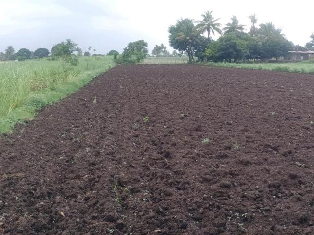 Residential Plot in Panvel for resale Navi Mumbai. The reference number is 17871602