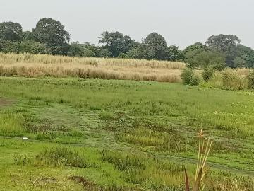 Residential Plot in Panvel for resale Navi Mumbai. The reference number is 17883757
