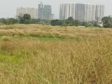 Residential Plot in Panvel for resale Navi Mumbai. The reference number is 17892594