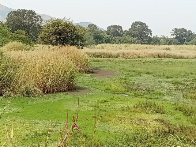 Residential Plot in Panvel for resale Navi Mumbai. The reference number is 18448063