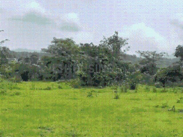 Residential Plot in Panvel for resale Navi Mumbai. The reference number is 19738435